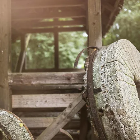 Hohlebach Muhle Homberg (Schwalm-Eder)