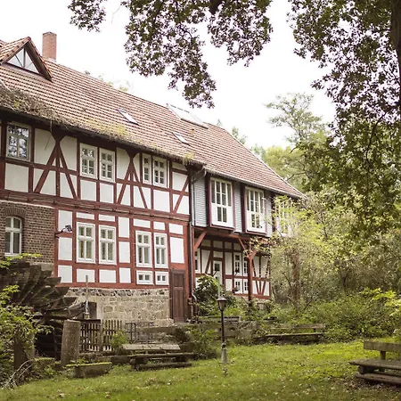 Hohlebach Muhle Hotel 3*