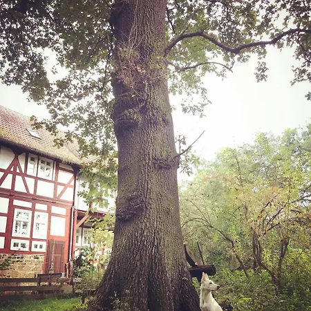 Hotel Hohlebach Muhle 3*